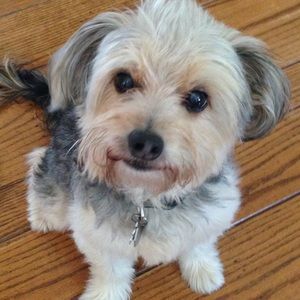 Meet your Posher, Shannon